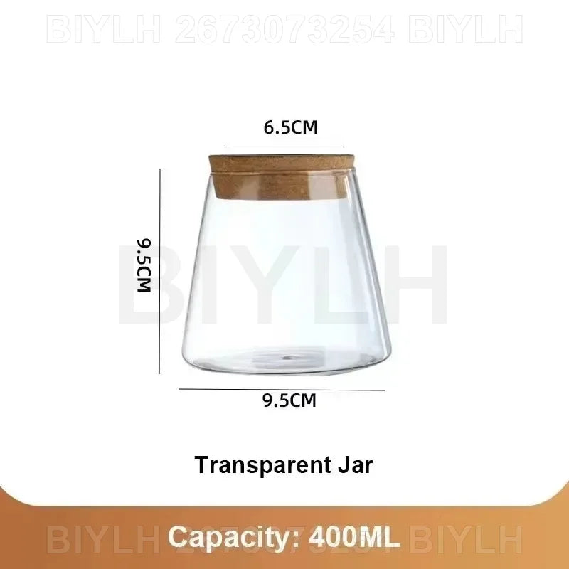 "Hydroponic Glass Vase with Base Tray
"