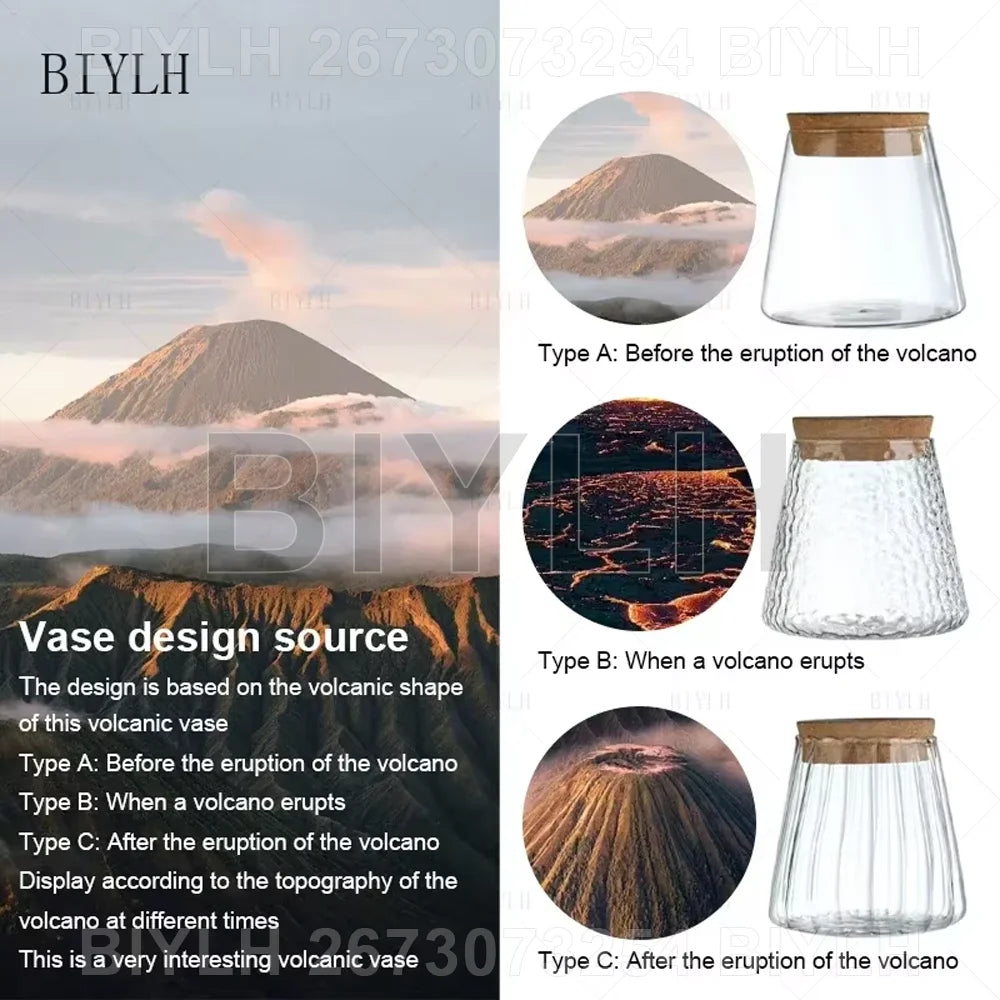 "Hydroponic Glass Vase with Base Tray
"
