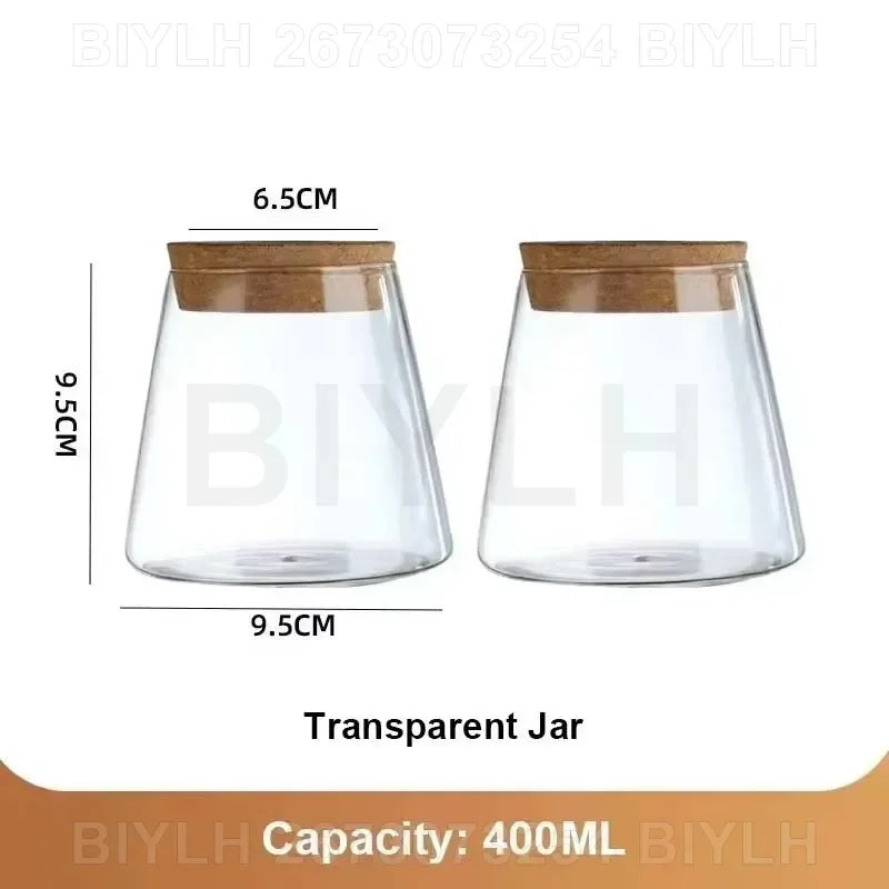 "Hydroponic Glass Vase with Base Tray
"