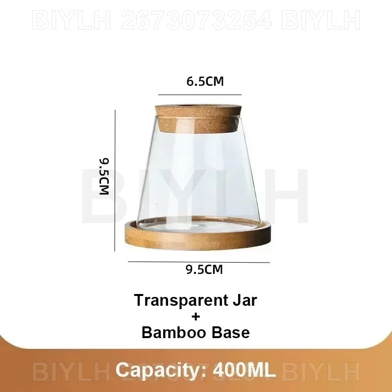"Hydroponic Glass Vase with Base Tray
"